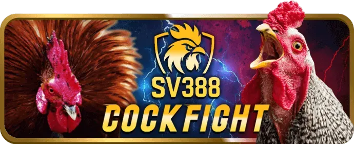 Hình ảnh về chương trình VIP của bot88 hiện đang mở